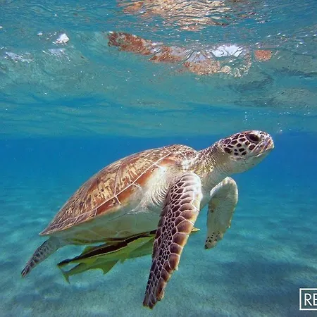 Hotel Reverse Torre Santa Sabina