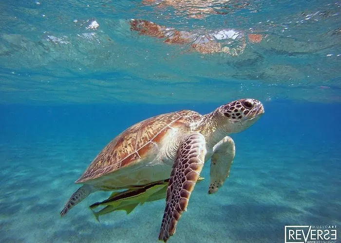 Hotell Reverse Torre Santa Sabina